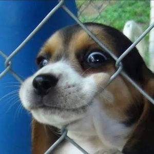 Meet your Posher, Marvin